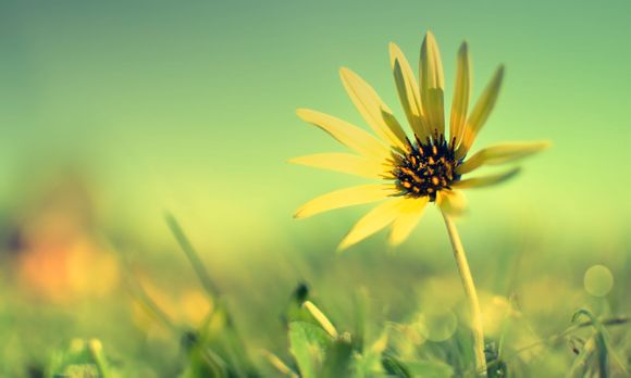 俄罗斯最佳留学时间是多少