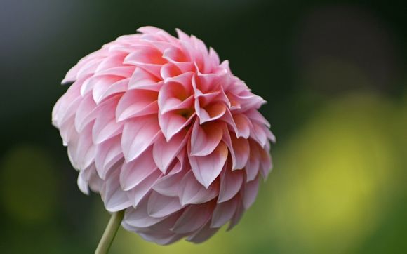 如何与俄罗斯留学生相处